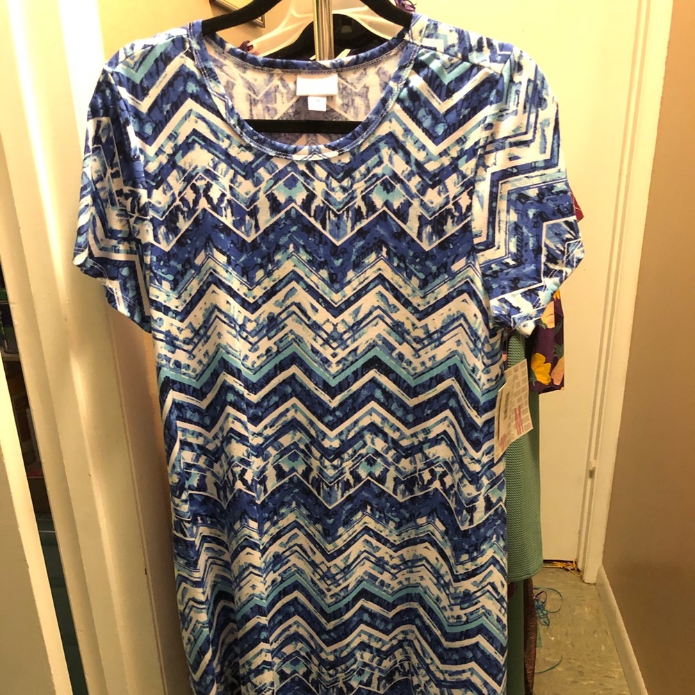 NWT LuLaRoe 2019 First launch of Jessie dress - early release print